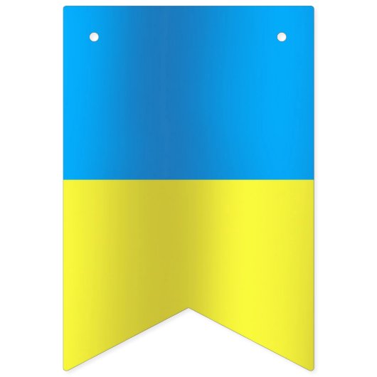 Ukraine-Flagge Wimpelkette (Zweite Fahne)