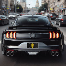 Ukraine Flaggensymbol Volodymyr Zelensky Ukrainisc