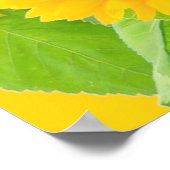 Ukraine Freedom Peace - Ukrainian Flag Sunflowers Poster (Ecke)