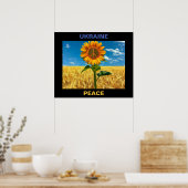 Ukraine-Friedenspaket - 24"x20" Poster (Küche)