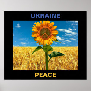 Ukraine-Friedenspaket - 24"x20" Poster