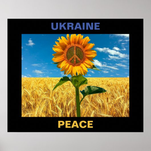 Ukraine-Friedenspaket - 24"x20" Poster (Vorne)