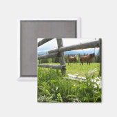 Ukraine: in den Karpaten Magnet (Vorderseite/Rückseite)