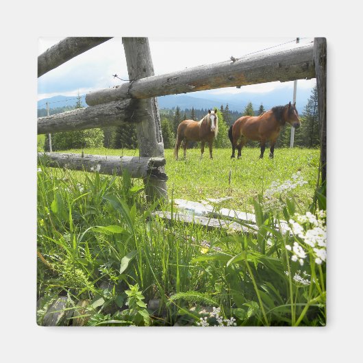 Ukraine: in den Karpaten Magnet (Vorne)