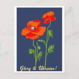 Ukraine "Mohnblume Blume" - farbenfrohe Postkarte