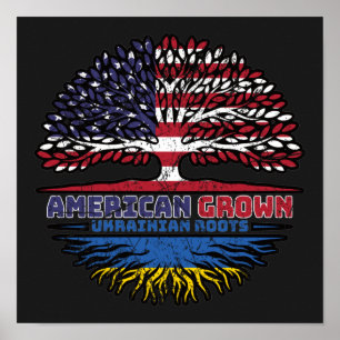 Ukraine Ukraine USA USA Staaten Poster