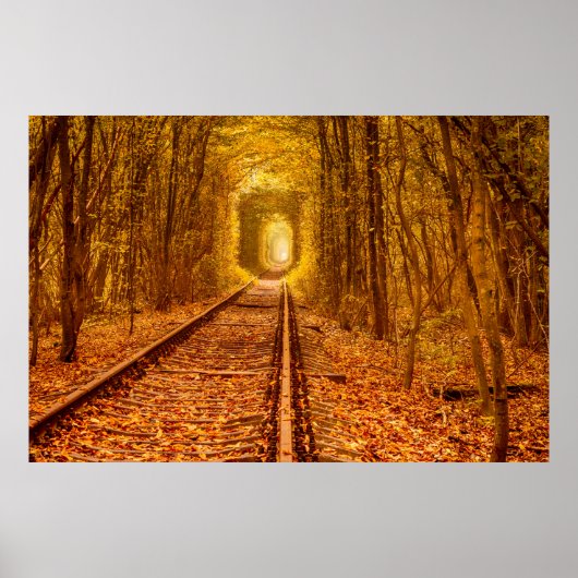 Ukraine Waldbahn-Tunnel Liebe Landschaft Poster (Vorne)
