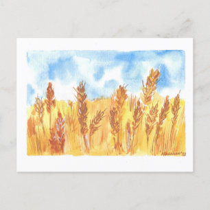 Ukraine Wheat Field Original Watercolor gezeichnet Postkarte