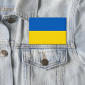 Ukrainian flag. Support Ukraine. Button (Insitu)