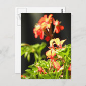 Ukrainische Blume Postkarte (Vorne/Hinten)