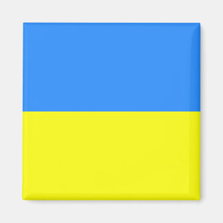 ukrainische Flagge Magnet
