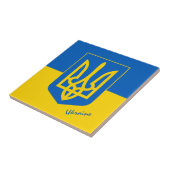 Ukrainische Flagge & Ukraine Zuhause, Küche / Spor Fliese (Seite)