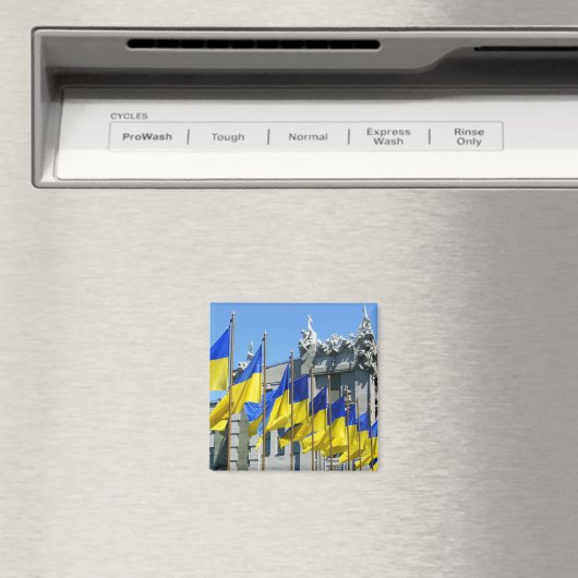 ukrainische Flaggen Magnet (In Situ (Geschirrspüler))