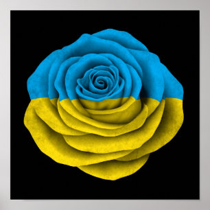 Ukrainische Rosen-Flagge auf Schwarzem Poster