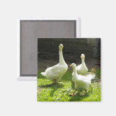 Ukrainischer Gänse Magnet (Vorderseite/Rückseite)