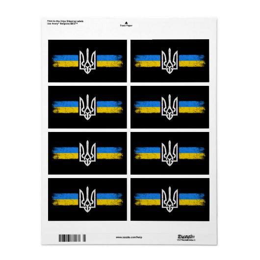 ukrainischer Präsident - ukrainisches Flaggensymbo (Vorne)