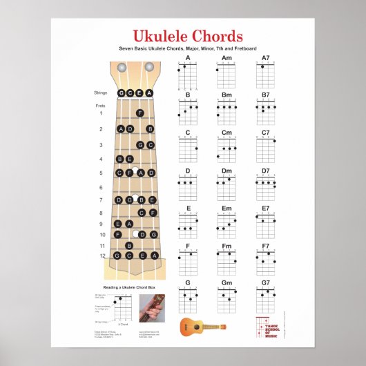Ukulele Akkorde Finger Charts, Fretboard mit Anmer Poster (Vorne)