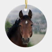 Ula: Pryor Mountain Wild Mustang Keramik Ornament (Vorne)