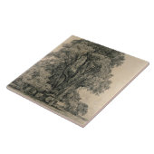 Ulmenbäume in altem Hall parken, OstBergholt, 1817 Fliese (Seite)