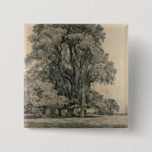 Ulmenbäume in altem Hall parken, OstBergholt, 181 Button