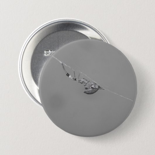 Uloborus Button (Vorne & Hinten)