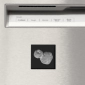 Ultima Thule Arrokoth Kuiper Belt Object Magnet (In Situ (Geschirrspüler))