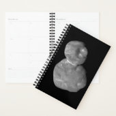 Ultima Thule Arrokoth Kuiper Belt Object Planer (Anzeige)