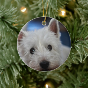 Ultra Cute Pestie Westie Terrier Keramik Ornament