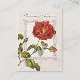 Ultra Elegante alte Rosen in Rot für den Gärtner Visitenkarte