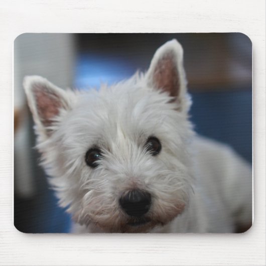 Ultra Niedliche Pestie Westie White Terrier Mousepad (Vorne)