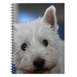 Ultra Niedliche Pestie Westie White Terrier Notizblock