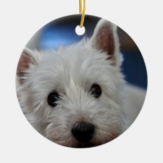 Ultra-Niedliche Pestizid-Westie-Terrier Keramik Ornament (Vorne)