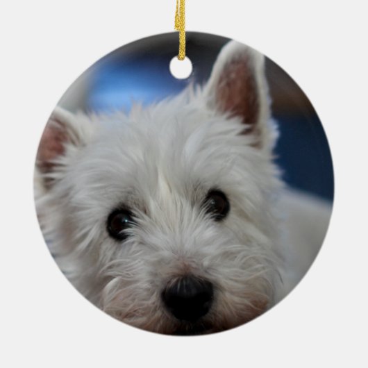 Ultra-Niedliche Pestizid-Westie-Terrier Keramik Ornament (Hinten)