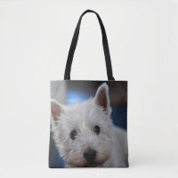 Ultra Niedlicher Schädlingswestie-Weiße Terrier