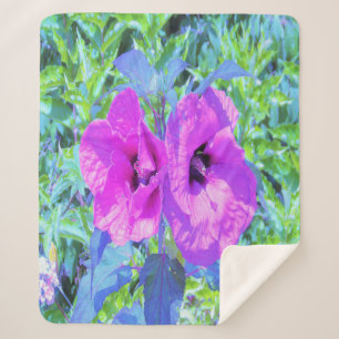 Ultra-Violet Plum Crazy Lila Hibiskus Blume Sherpadecke