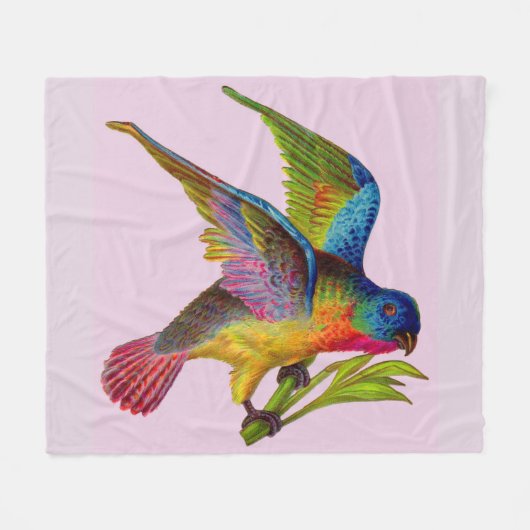 ultralfarbener Viktorianischer Vogeldruck Fleecedecke (Vorderseite (Horizontal))