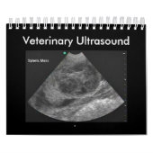 Ultrasound Kalender (Titelbild)