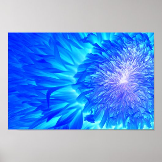 Ultraviolet Dahlia von Prairie Pics Poster (Vorne)