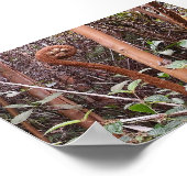 ULUHE FERN POSTER (Ecke)