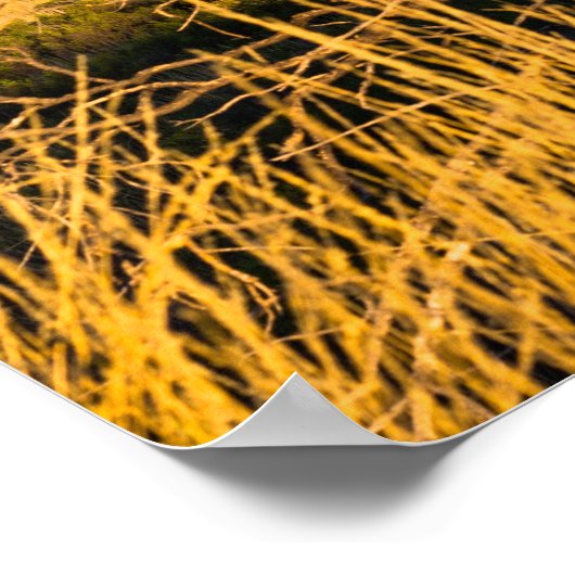 Uluru Ayers Rock in Australien Poster (Ecke)