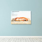 Uluru, Ayers Rock Leinwanddruck (Insitu (Holzboden))