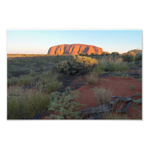 Uluru Sunrise und Wüstenflora Fotodruck