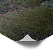 Uluru Sunrise und Wüstenflora Poster (Ecke)