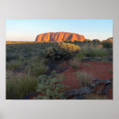 Uluru Sunrise und Wüstenflora Poster (Vorne)