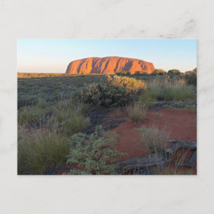 Uluru Sunrise und Wüstenflora Postkarte