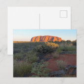 Uluru Sunrise und Wüstenflora Postkarte (Vorne/Hinten)
