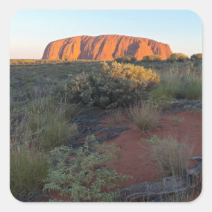 Uluru Sunrise und Wüstenflora Quadratischer Aufkleber