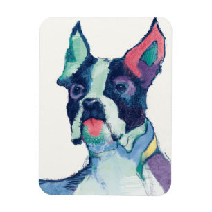 Ulysses-Aquarell-Pastell Magnet