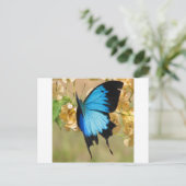 Ulysses Butterfly Postkarte (Stehend Vorderseite)