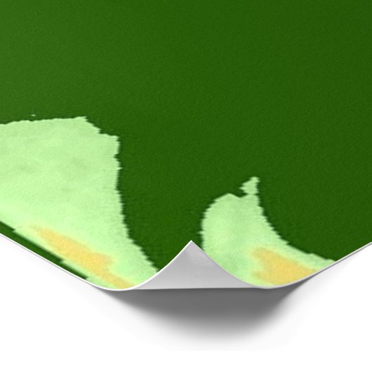 Ulysses S Grant Poster (Ecke)